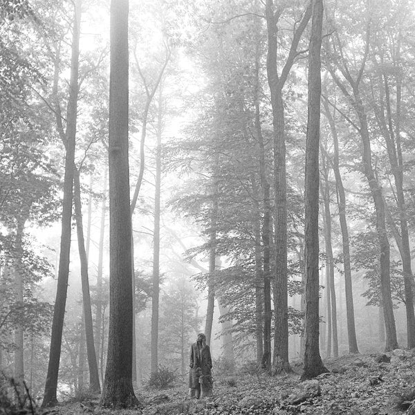 folklore [Limited in the trees] [2xLP] - Image 3