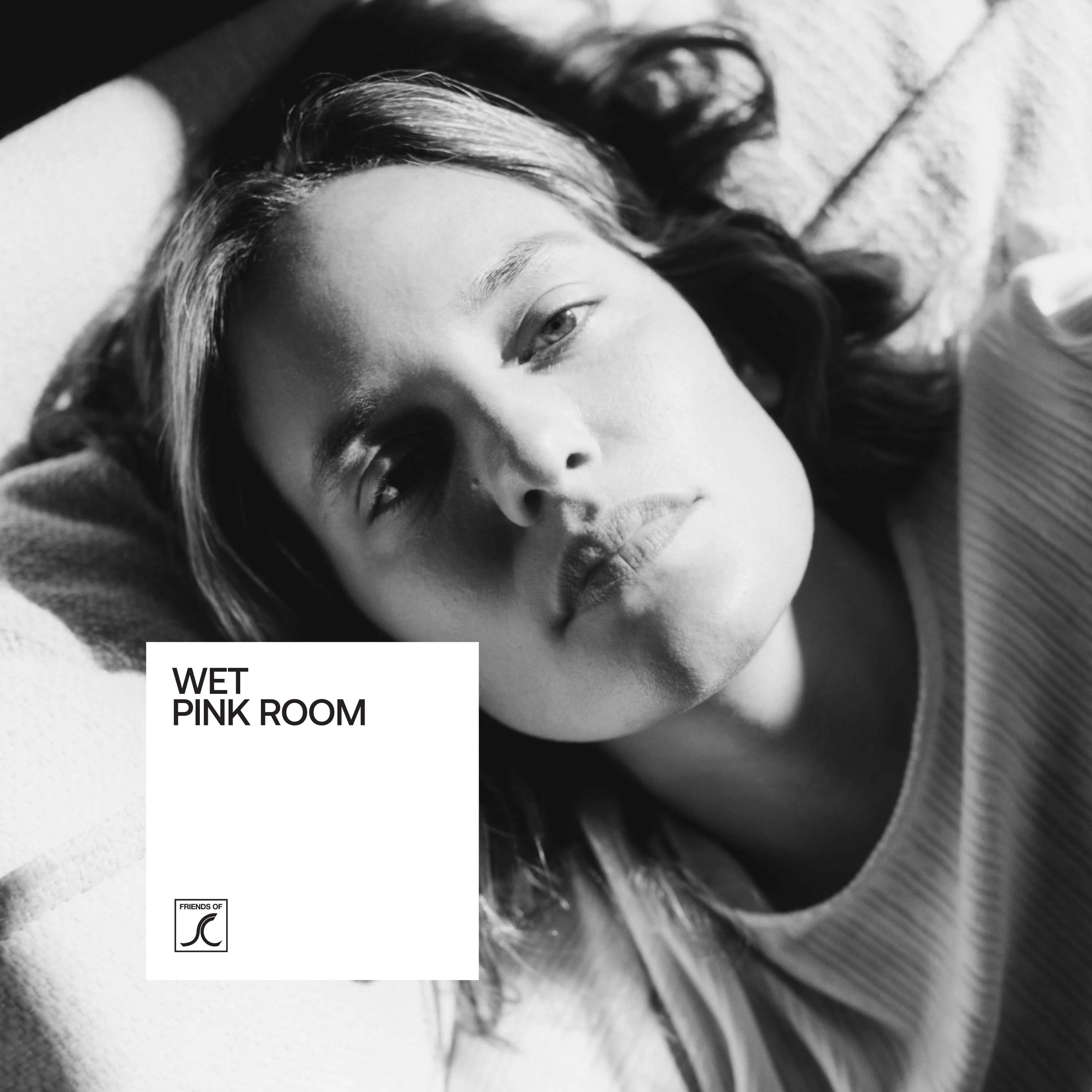 Pink Room [Limited Pink Glass] - Image 3