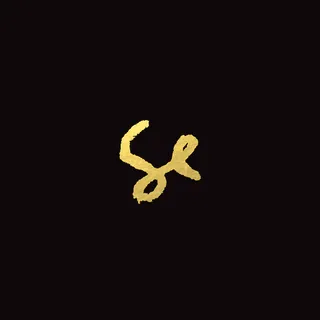 Sylvan Esso [Exclusive Violet] - Image 3